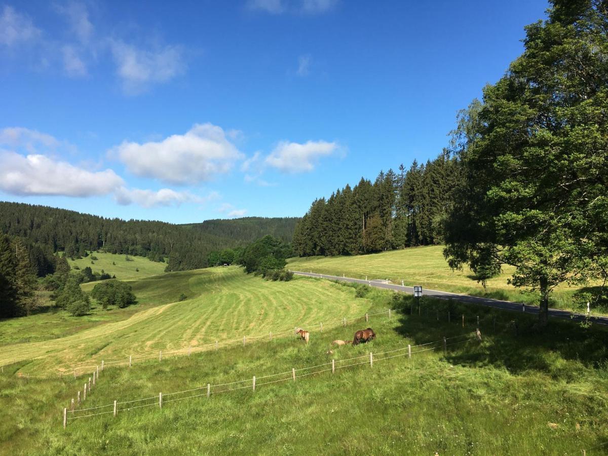 Appartements Gasthof Kanzlersgrund Oberhof  Eksteriør billede