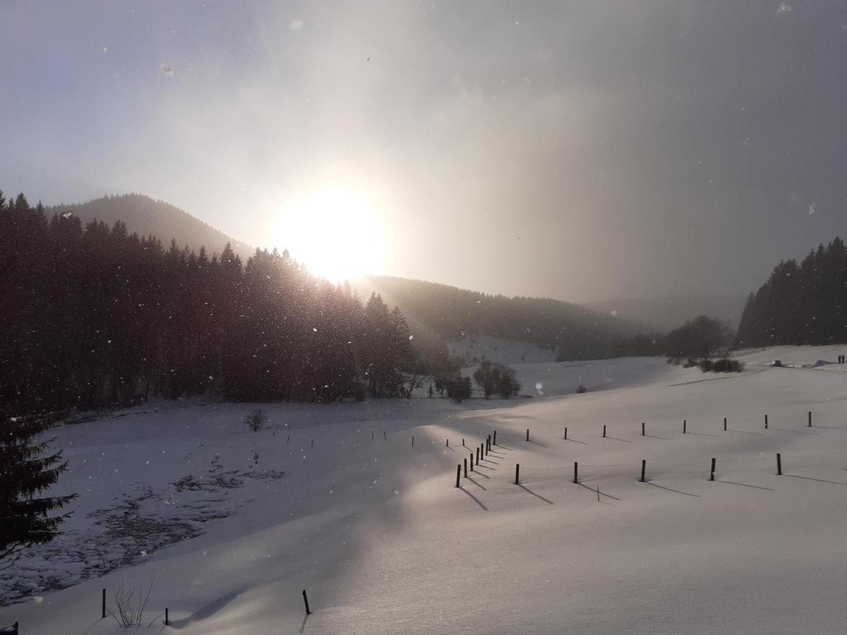 Appartements Gasthof Kanzlersgrund Oberhof  Eksteriør billede