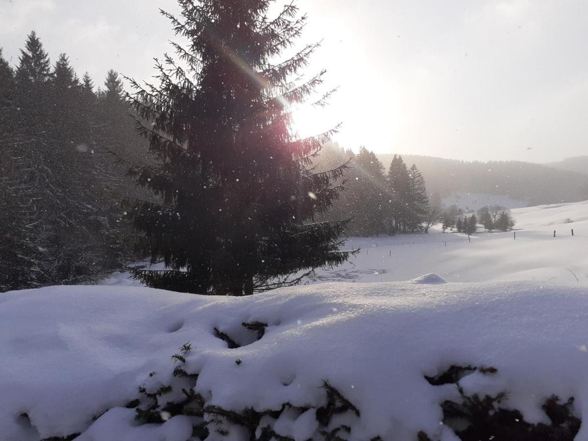 Appartements Und Ferienhaus Gasthof Kanzlersgrund Oberhof  Eksteriør billede