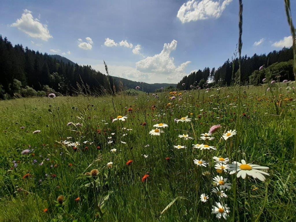 Appartements Gasthof Kanzlersgrund Oberhof  Eksteriør billede