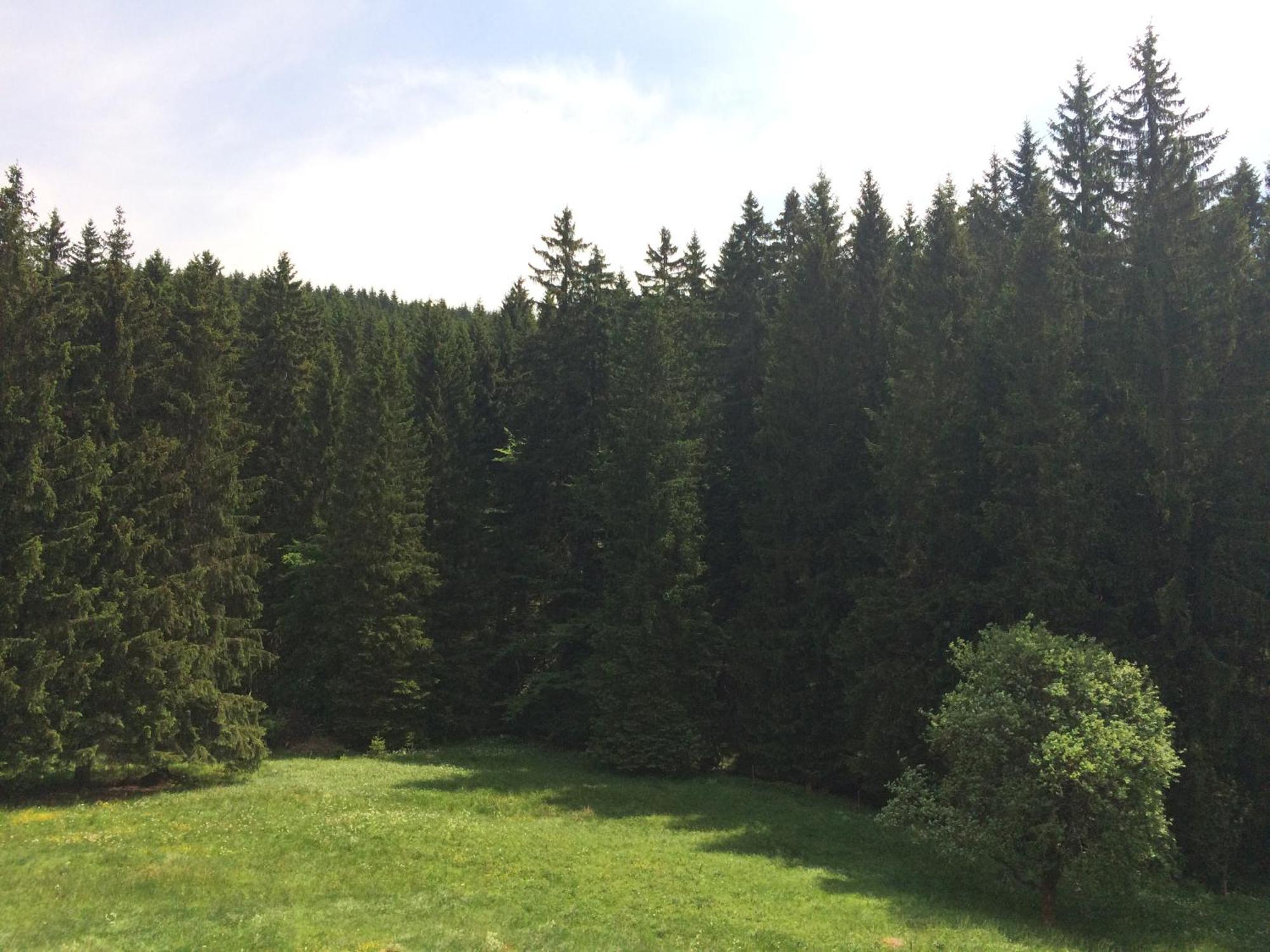 Appartements Und Ferienhaus Gasthof Kanzlersgrund Oberhof  Eksteriør billede
