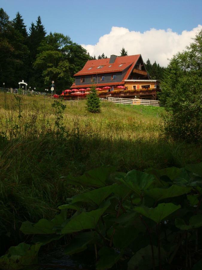 Appartements Gasthof Kanzlersgrund Oberhof  Eksteriør billede