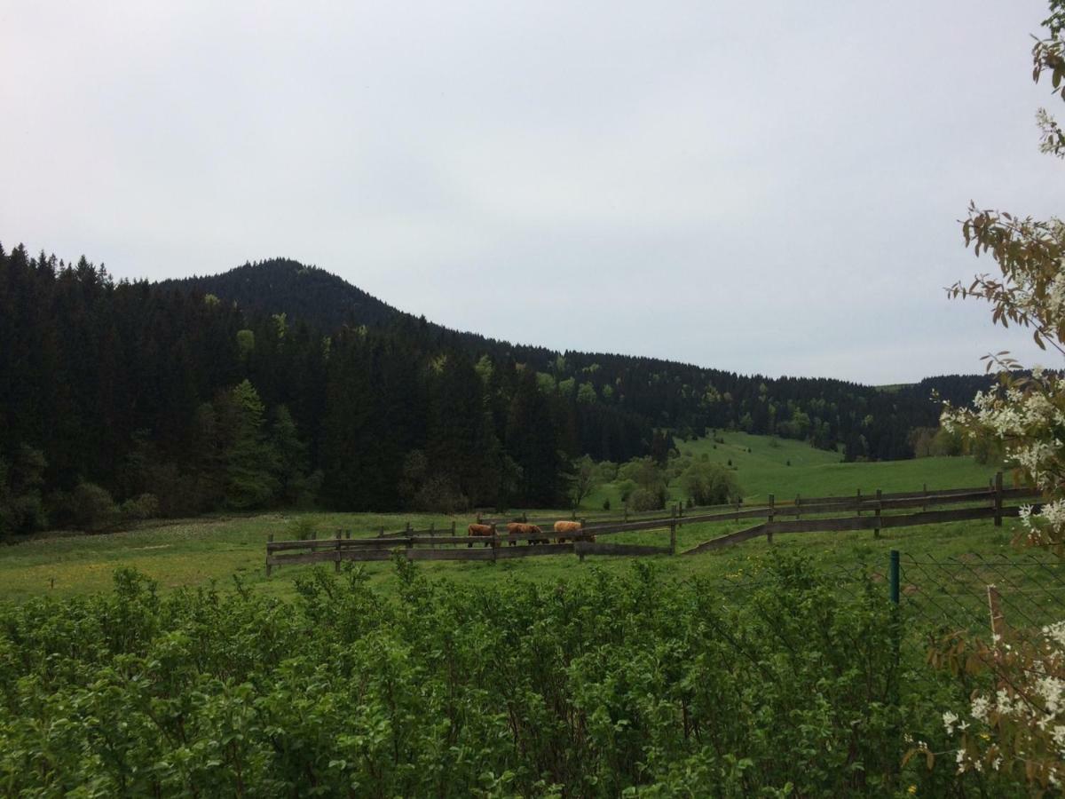 Appartements Gasthof Kanzlersgrund Oberhof  Eksteriør billede